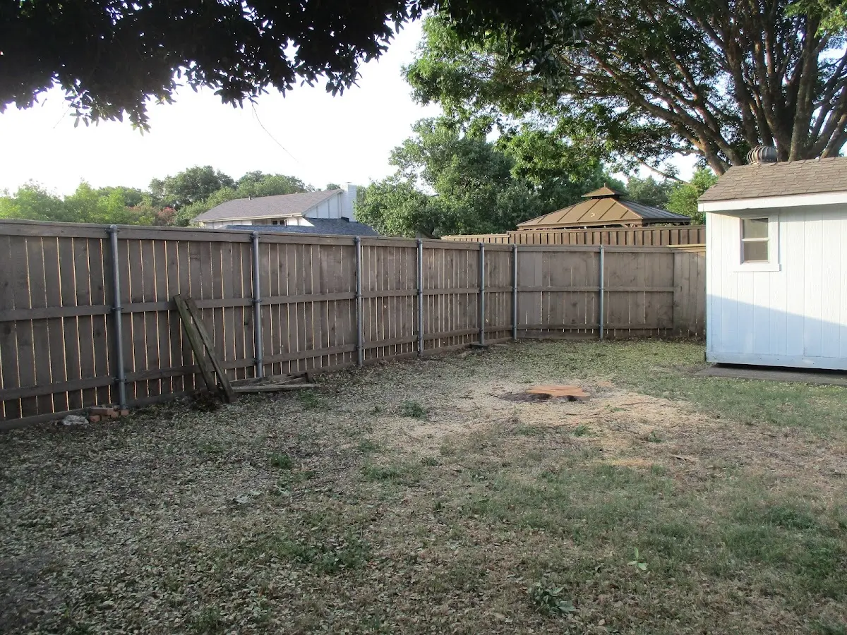 Cleared yard after professional tree removal in Iselin
