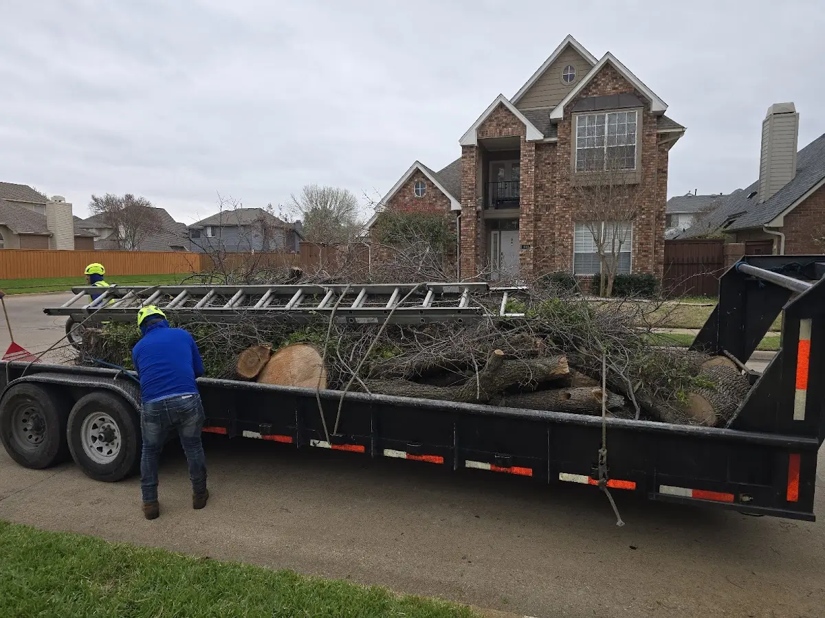 Expert Tree Removal with proper safety equipment in Iselin